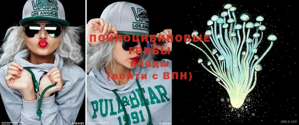 мяу мяу мука Михайловск