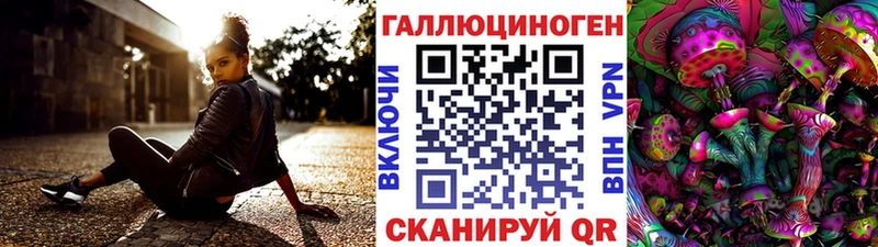сколько стоит  Котельниково  Псилоцибиновые грибы Psilocybe 